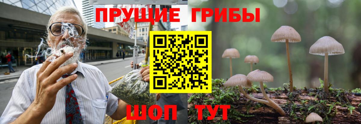 Псилоцибиновые грибы мицелий  Вход с VPN  Феодосия  Псилоцибиновые грибы MAGIC MUSHROOMS 